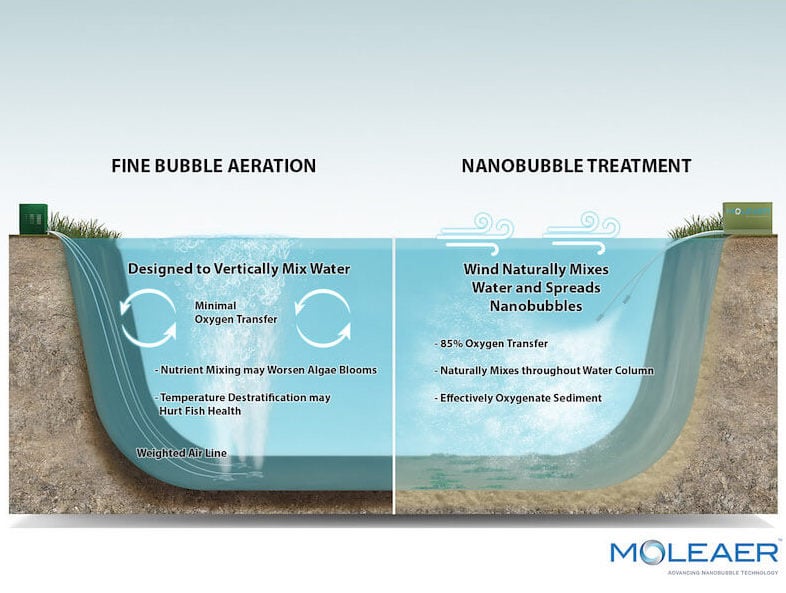 ro water purifier membrane cleaning